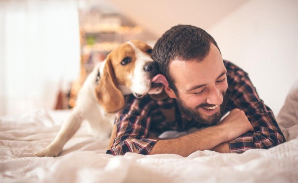 Nuestro perro puede tener ciertas bacterias que en lastimaduras puede afectar a nuestra salud.