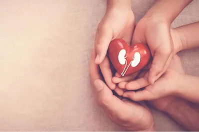 Día Mundial del Cáncer de Riñón: cuatro hábitos diarios para prevenir esta enfermedad silenciosa