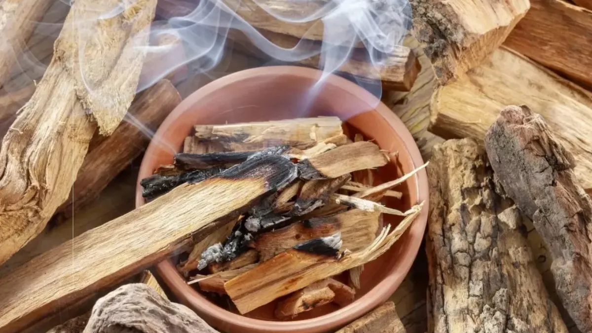 Palo Santo: cómo y cuándo hacer el ritual de limpieza en e hogar