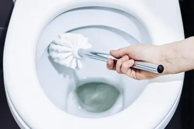 Cómo hacer pastillas caseras para desinfectar el inodoro en segundos