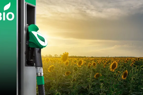 En 2023, la Argentina consumió 1,16 millón de m³ de bioetanol