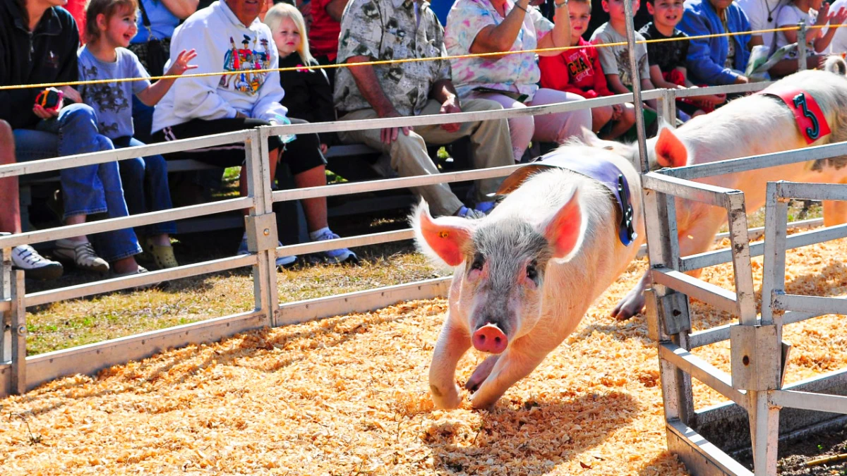 Feria Meadowlands State en Nueva Jersey. 