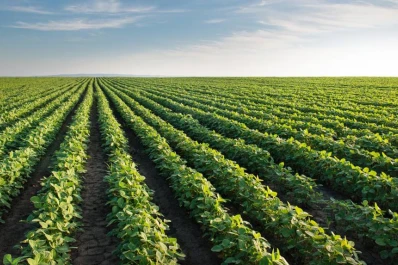 SIMA destacó los beneficios de contar con un plan maestro de cultivo y dio algunas claves