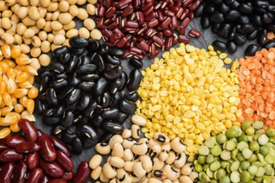 ¿La proteína de legumbres puede reemplazar a la proteína de la carne?