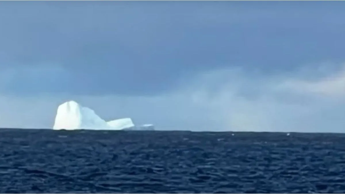 Ushuaia: apareció un iceberg cerca de la costa
