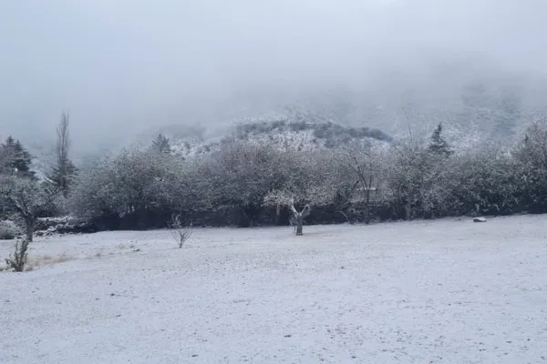 Las bajas temperaturas cubrieron de garrotillo a Tafí del Valle
