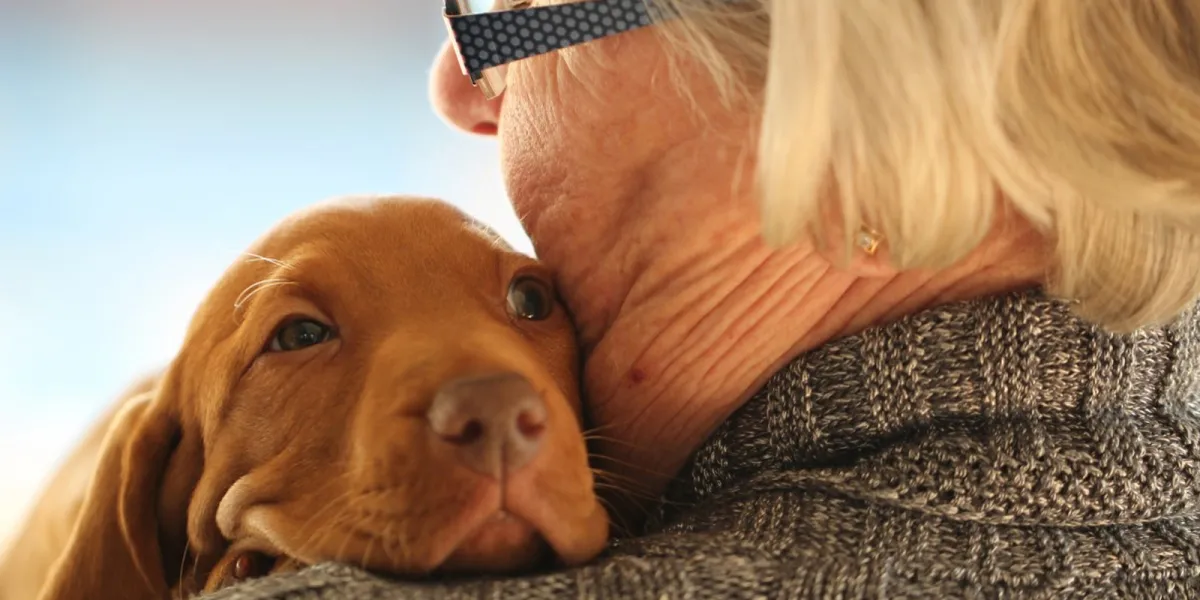 Los perros que mejor se llevan con los adultos mayores.