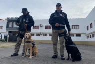 Caso Loan: Dina y Kala, las perras que cambiaron el rumbo de la investigación