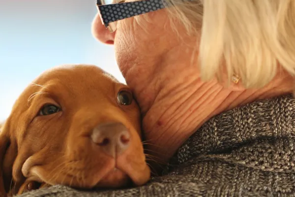 Cuáles son las mejores razas de perro para las personas mayores