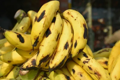 El truco poco conocido para conservar las bananas frescas por más tiempo
