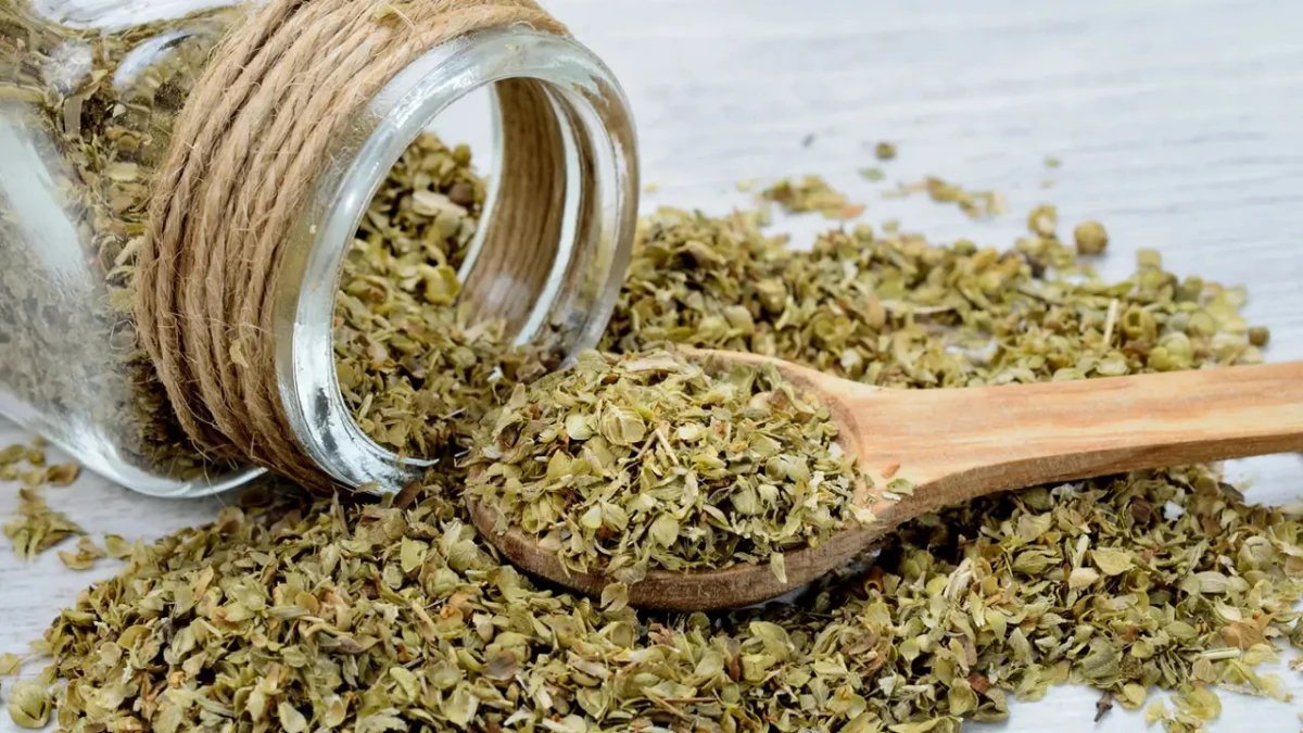 El orégano, un condimento que puede aliviar los dolores.