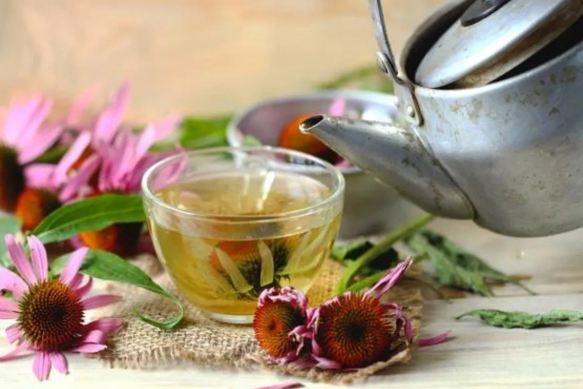 La infusión que refuerza el sistema inmunitario para el frío.