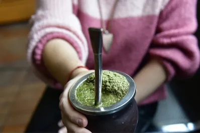 ¿Cuánto mate se puede tomar por día y hasta qué hora es recomendable?