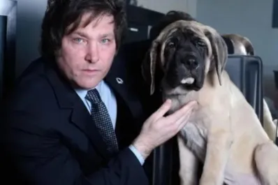 Ley Conan: de qué se trata el proyecto que tiene el visto bueno de Milei y debatirá Diputados