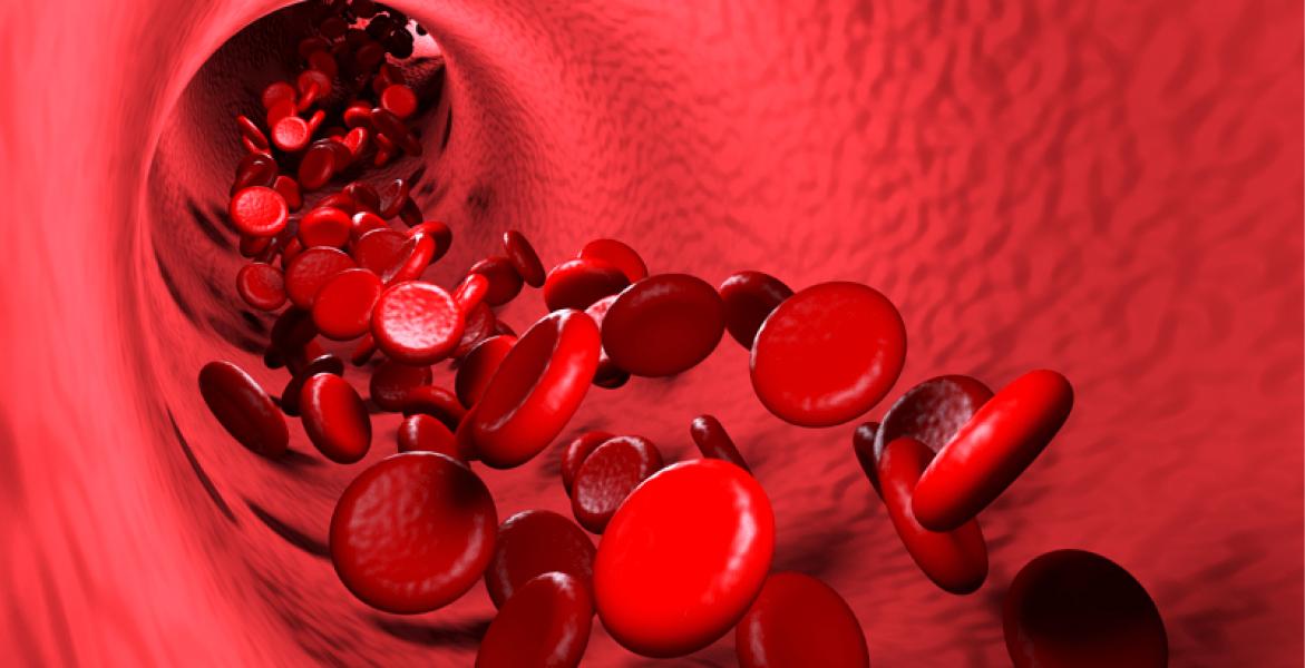 Las plaquetas son las encargadas de que la sangre coagule 