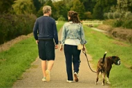 Cómo prevenir el alzheimer y otras demencias su ya llegaste a los 40