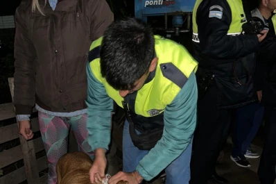 Prisión preventiva al dueño de los perros que mataron a un niño