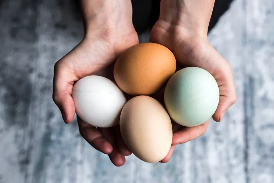 Además de ser rico nutricionalmente, se puede preparar de las formas más fáciles.