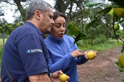 Senasa encabezó un monitoreo intensivo para prevención de HLB