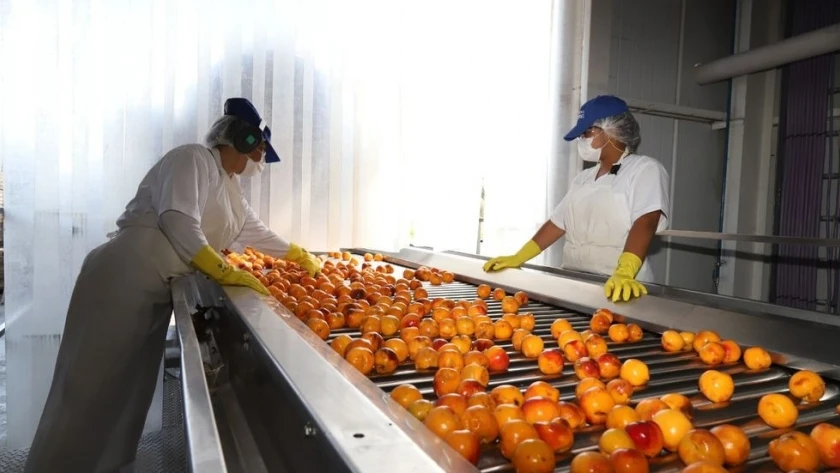 El complejo frutícola exportó por U$S 25,5 millones interanual