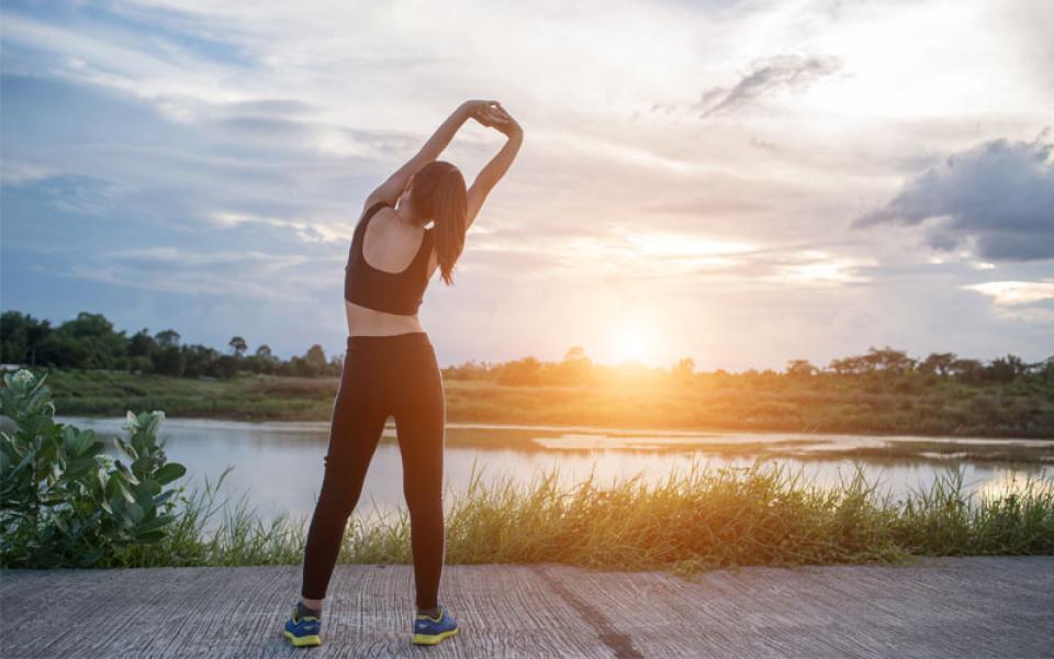 ¿Qué sucede con el cortisol durante las mañanas?