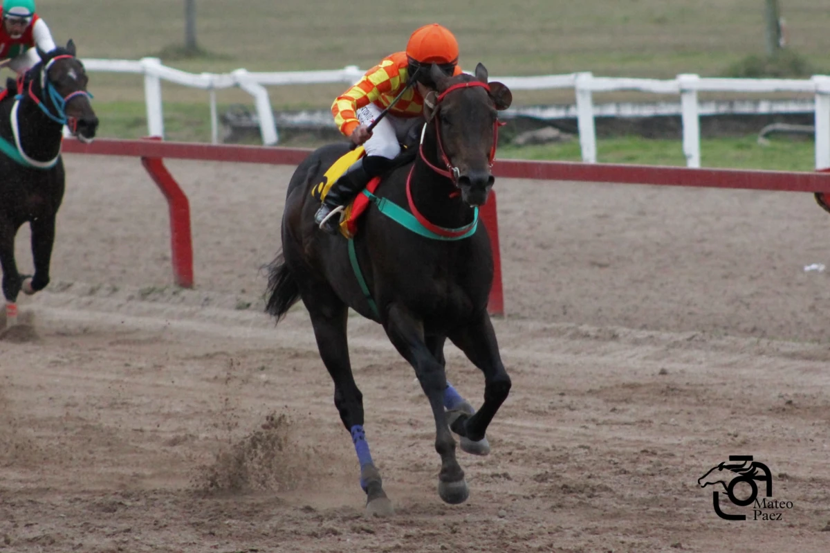 Foto gentileza Mateo Páez