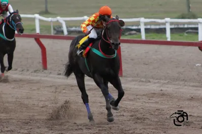 El santiagueño Amiguito Dandi logró un contundente éxito en el turf