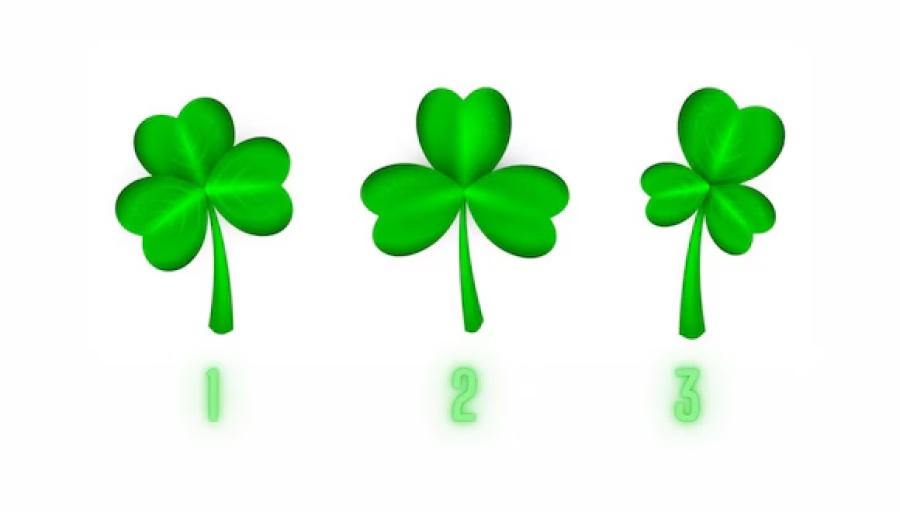 Test de personalidad: elegí un trébol y descubrí qué fortuna te espera en la vida