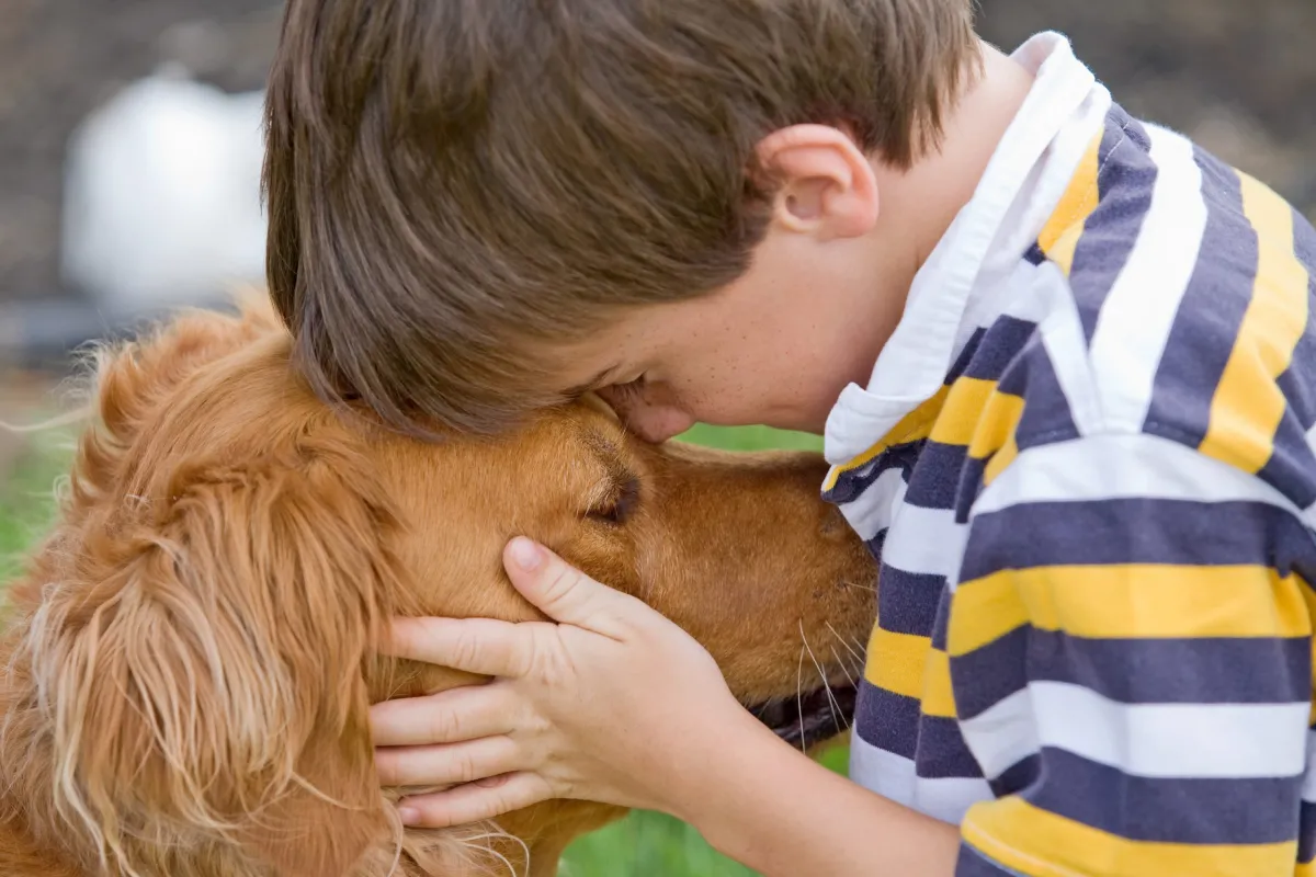 Los perros que se transforman en compañeros de vida.