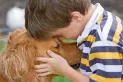 Estas son las razas de perros que forman las conexiones más fuertes con sus dueños