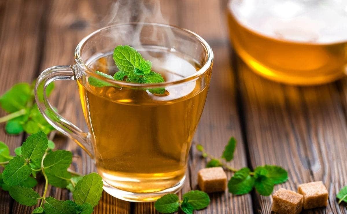 El té verde protege al cerebro del daño oxidativo.