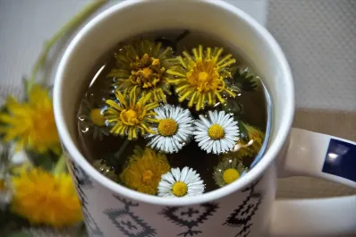 La infusión que favorece la producción de insulina y ayuda a regular el azúcar en sangre