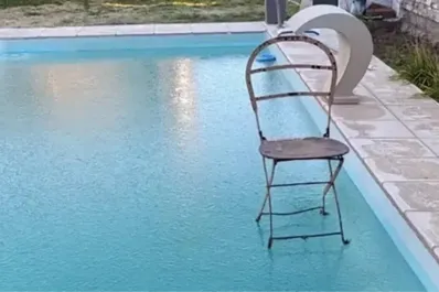 Cuándo termina la ola polar en Argentina, según expertos en meteorología