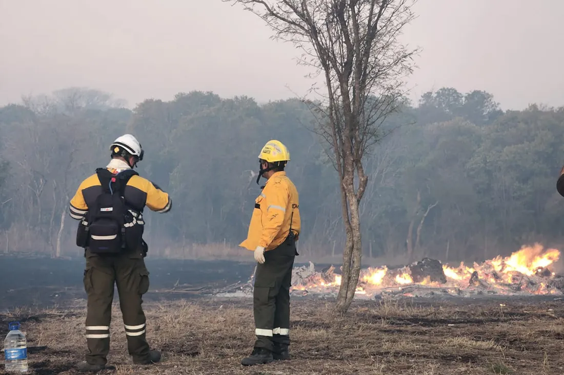 Equipo del Servicio Nacional de Manejo del Fuego.