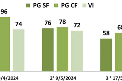 El retraso en la cosecha de soja afectó la calidad de la semilla