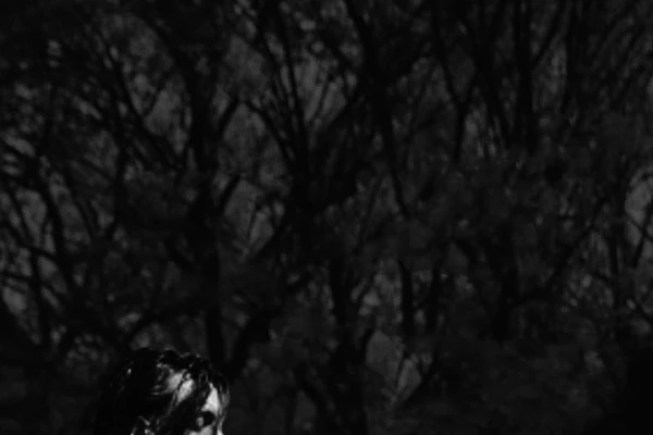 Historias y mitos en distintas propuestas