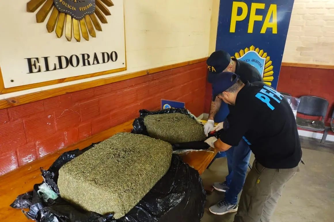 Secuestro de marihuana. PFA