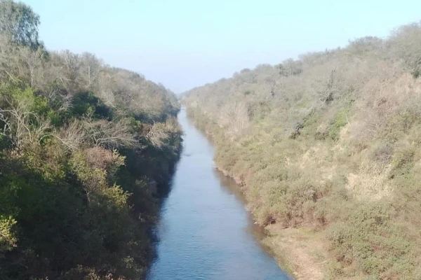Investigan la segunda mortandad de peces en un mes