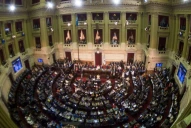 Diputados kirchneristas se distancian de Alberto con un proyecto para repudiar presunto ataque a Fabiola