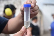 Con la ayuda del frío, Tucumán lleva 10 días sin casos registrados de dengue