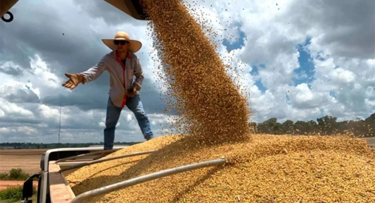 Tras seis meses de caída, la actividad económica creció 2,3% en mayo gracias al agro