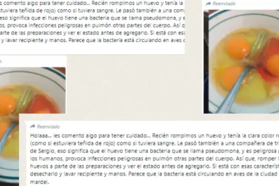 Cadena de WhatsApp alarmante: la verdad detrás de los huevos con clara roja