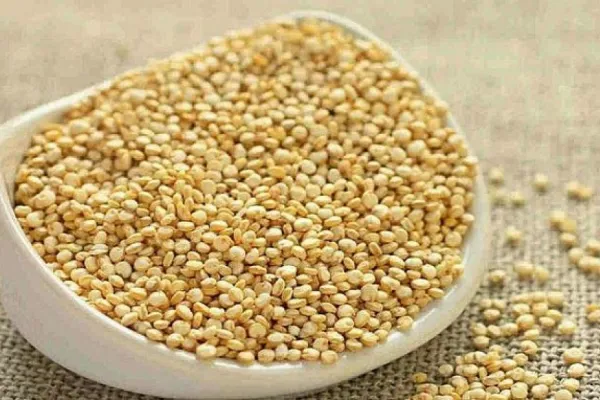 Amaranto: el cereal que puede reemplazar la avena y aportar beneficios extra