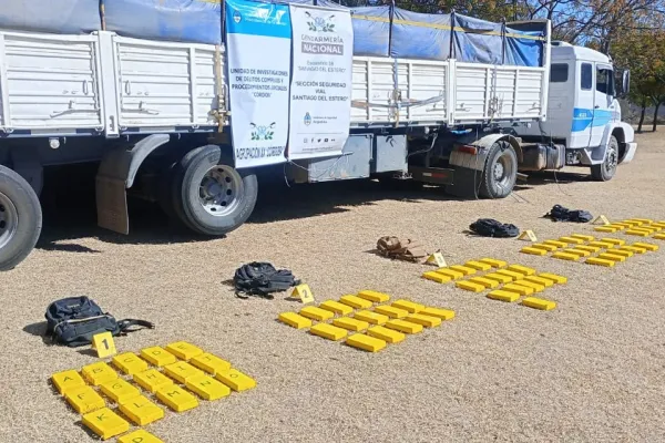 Transportaba 82 kilos de cocaína en un cargamento de harina de soja