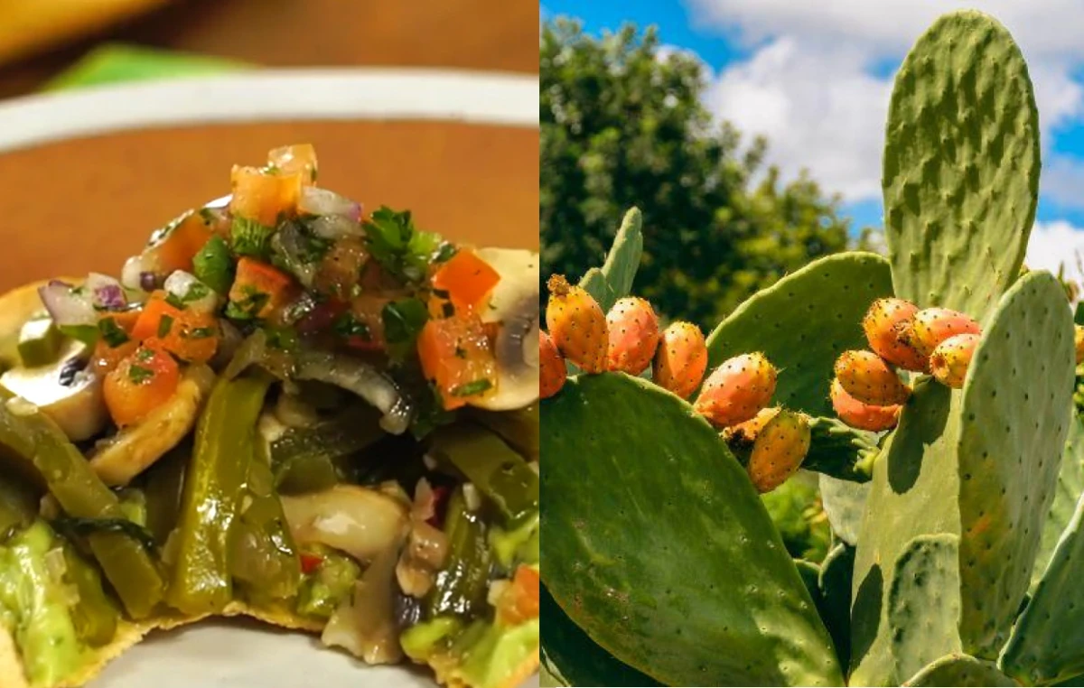 Tapas de nopal y champiñones: una receta para reducir los niveles de azúcar en sangre