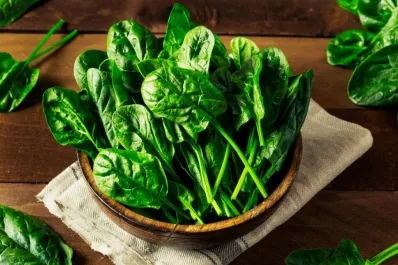 La planta que produce colágeno y que es fundamental para después de los 30