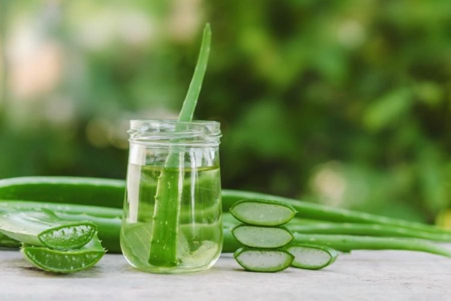 ¿Cómo preparar la infusión de aloe vera?