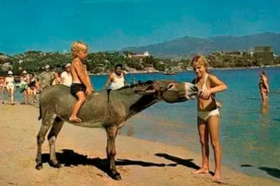 Burradas de la gente