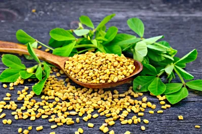 La hierba medicinal que promueve la producción de insulina en el páncreas y reduce los niveles de glucosa en sangre