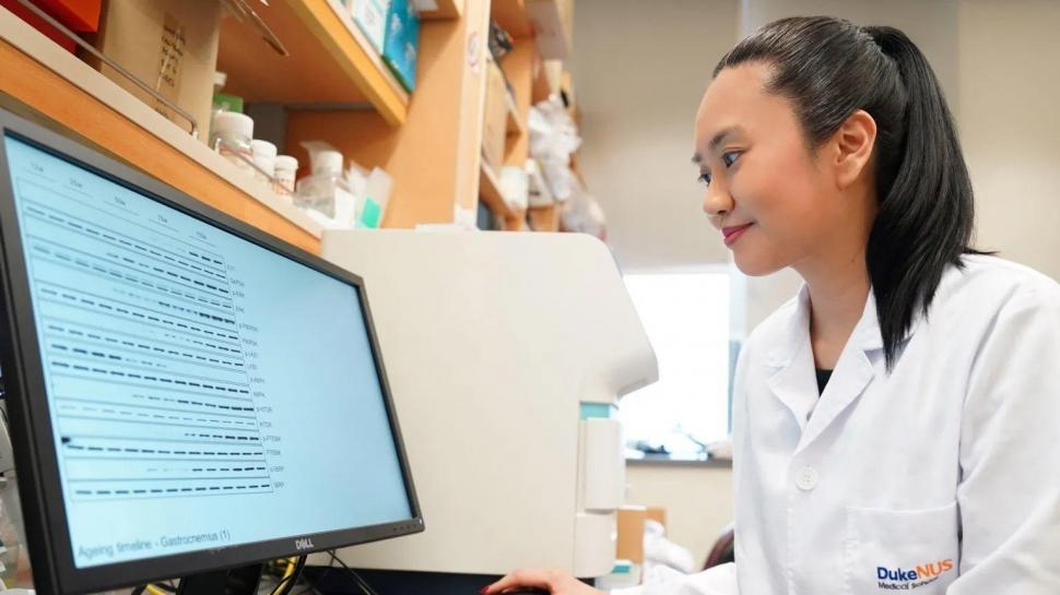 Un medicamento rejuveneció ratones de laboratorio